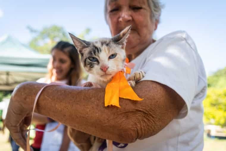 Yo adopto jornada de adopción de perros y gatos en Caracas Refugio El Valle parque mascotas Vizcaya El Diario Jose Daniel Ramos