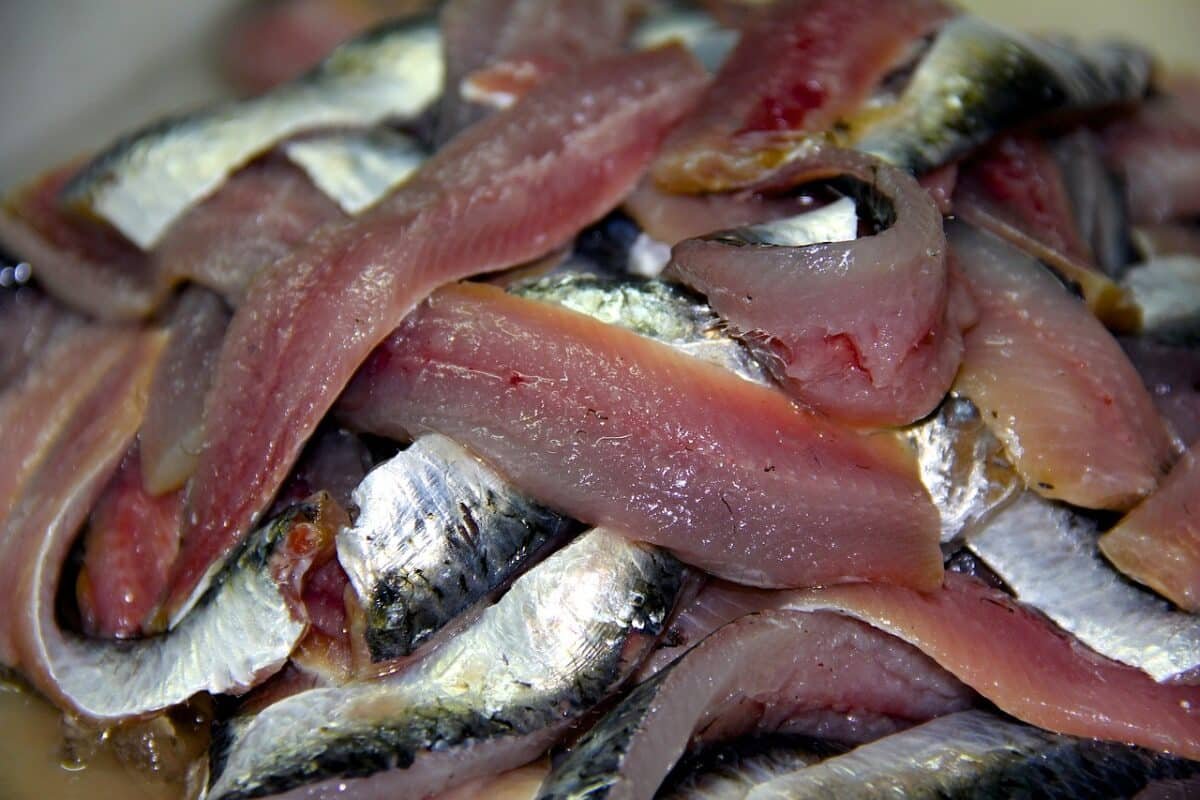 Estudio reveló que comer más sardinas y menos carnes rojas podría evitar hasta 750.000 muertes en 2050 